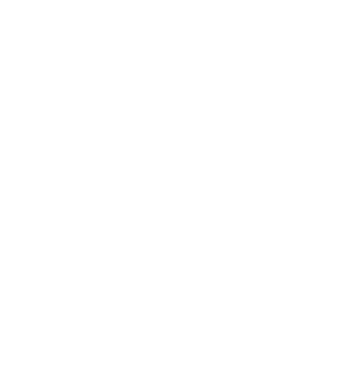 DigiArmada logo