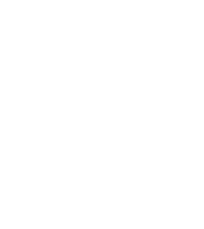 DigiArmada logo